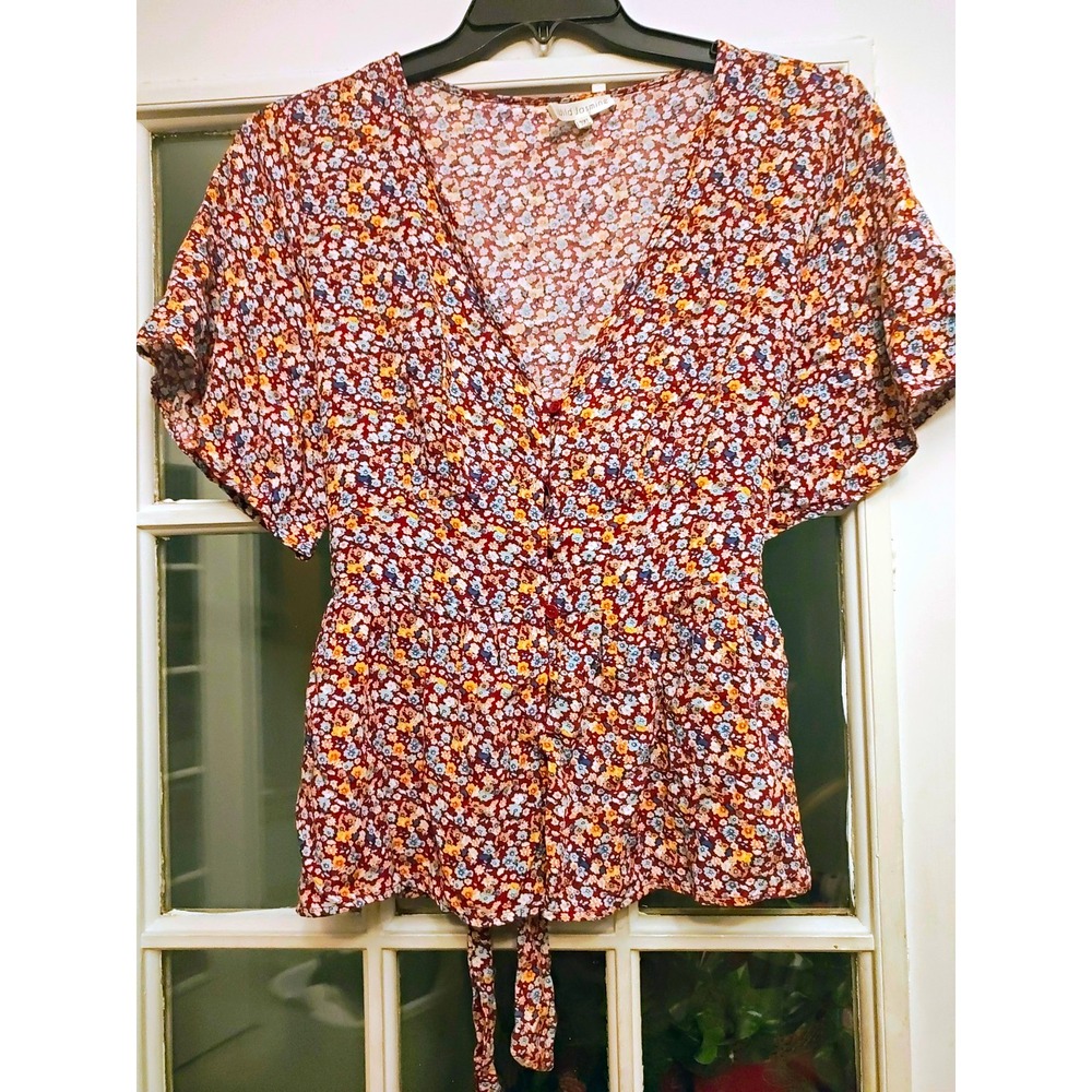 Wild Jasmine Floral Peplum Blouse 3XL Runs Small V Neck Boho Cottagecore